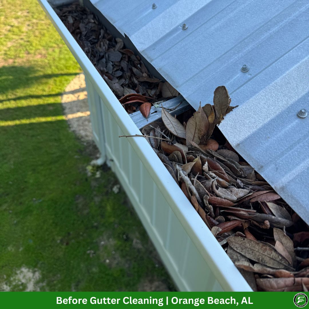 Clogged gutters before professional gutter cleaning in Orange Beach AL by Custom Fit Rain Gutters