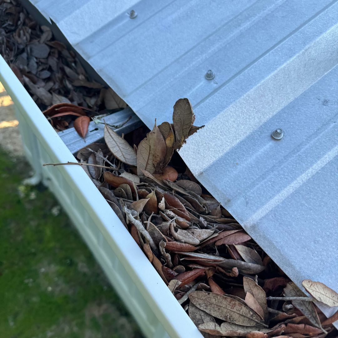 Clogged gutters in orange beach al